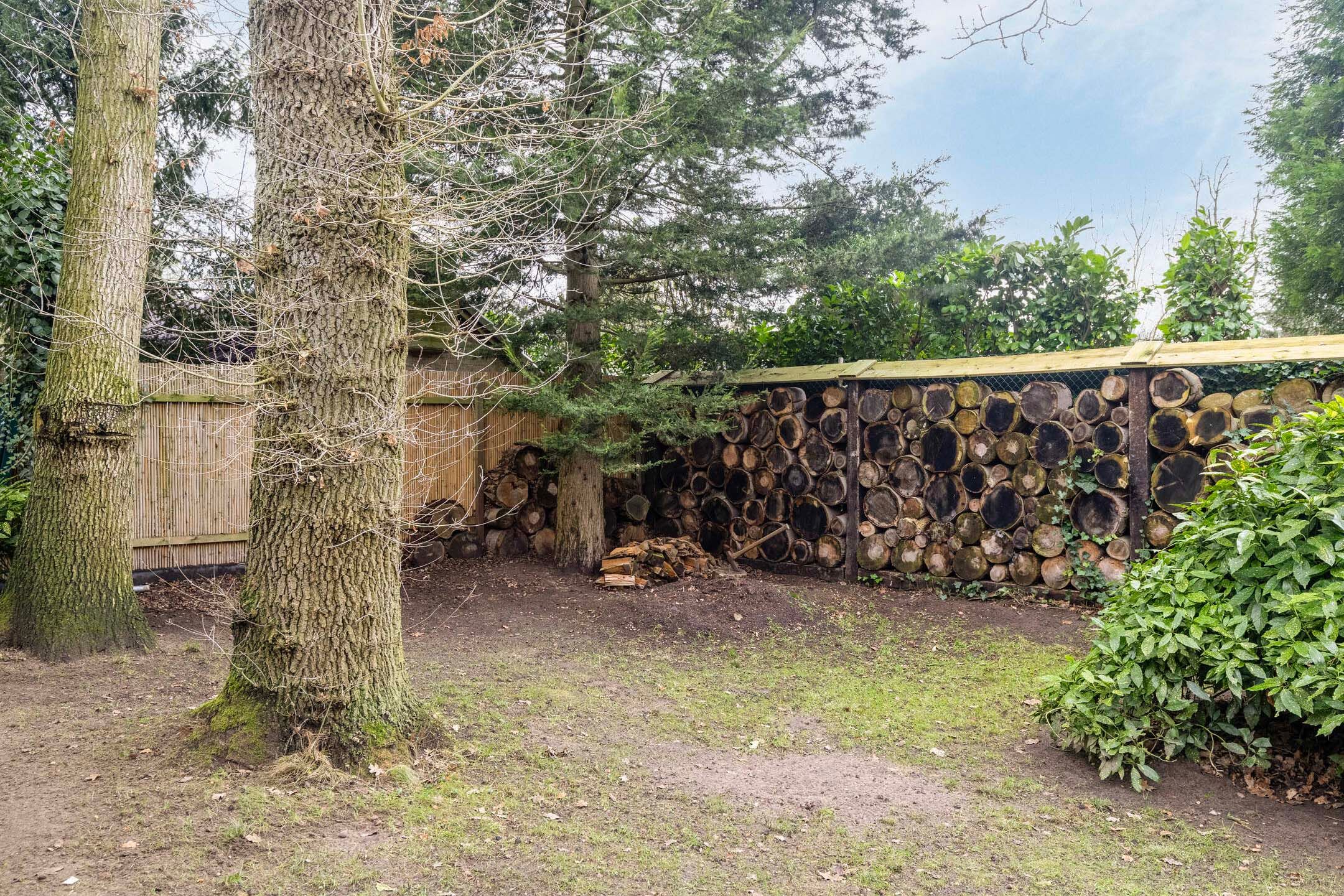 Photo 45 of Eikendreef 18