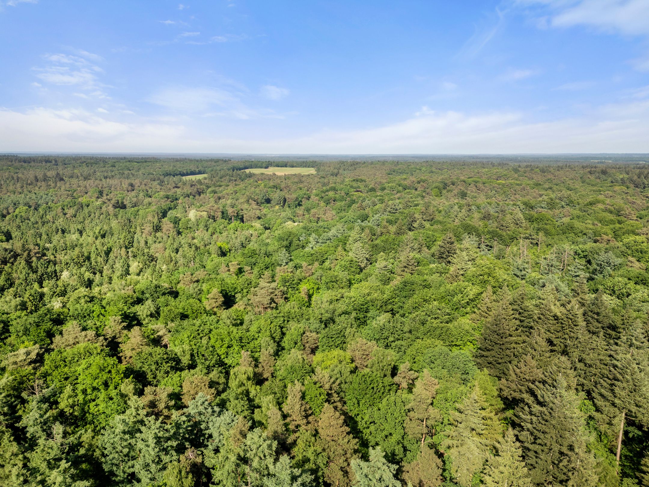 Photo 12 of Prins Clauslaan 8