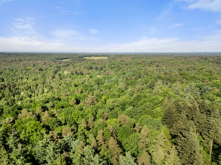 Photo 12 of Prins Clauslaan 8