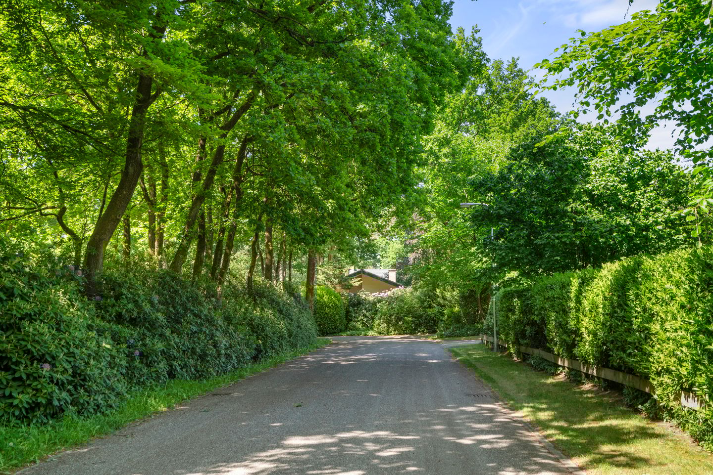 Photo 14 of Prins Clauslaan 8