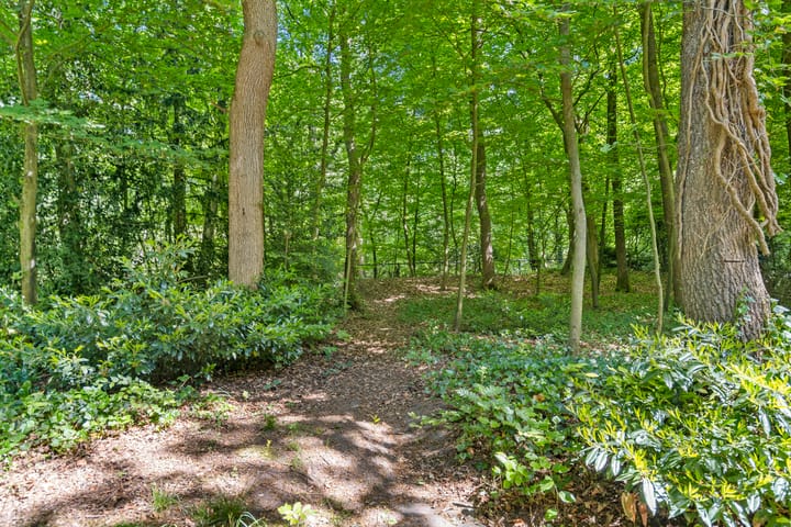 Photo 30 of Prins Clauslaan 8