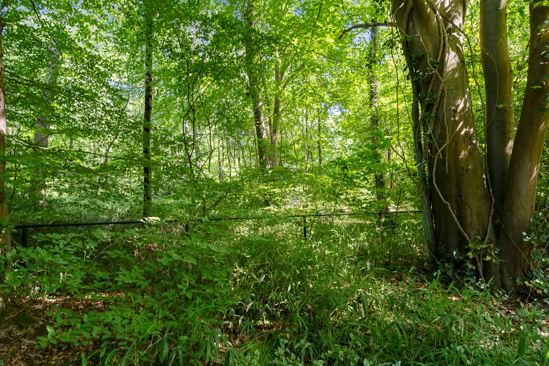 Photo 32 of Prins Clauslaan 8