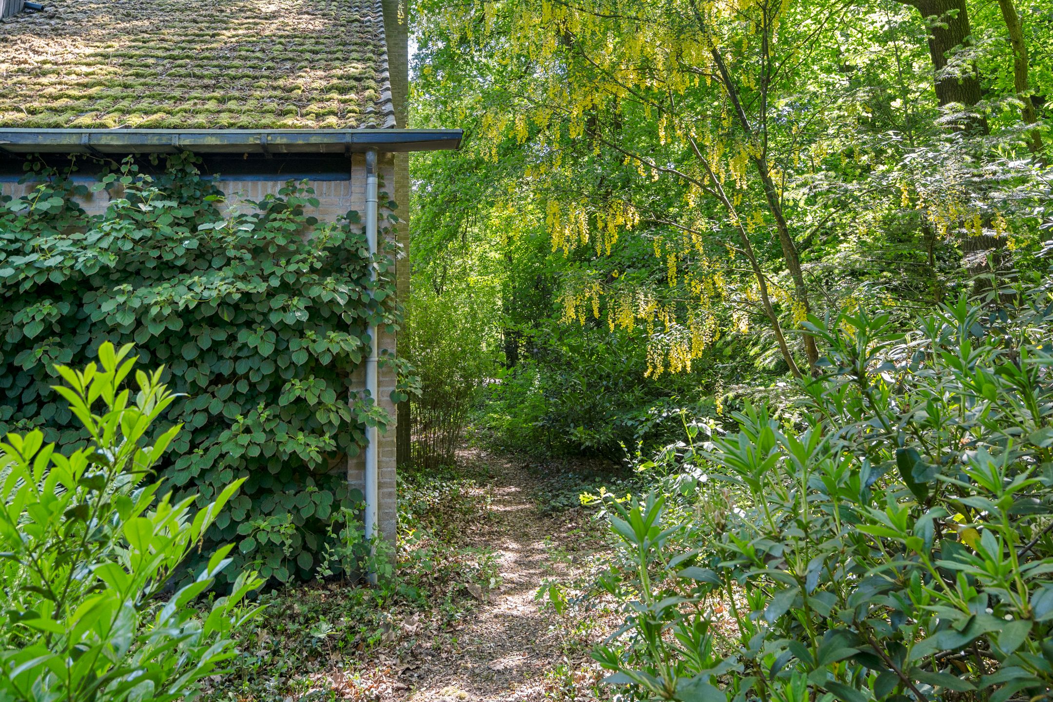 Photo 33 of Prins Clauslaan 8