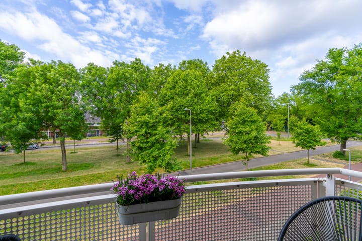 Foto 23 van Paranádreef 41