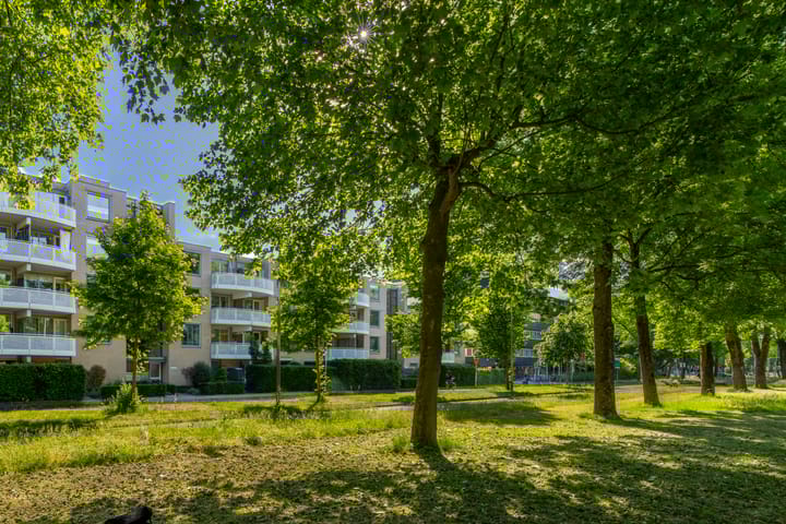 Foto 39 van Paranádreef 41