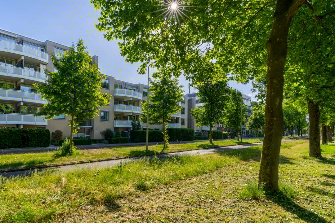 Foto 41 van Paranádreef 41