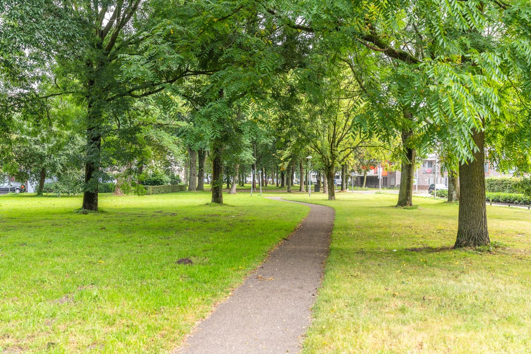 Foto 43 van Paranádreef 41