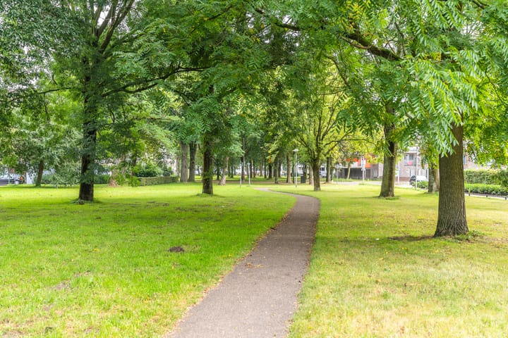 Foto 43 van Paranádreef 41