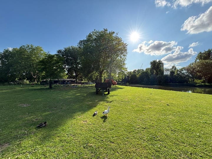 Foto 22 van Lohmanpark 20