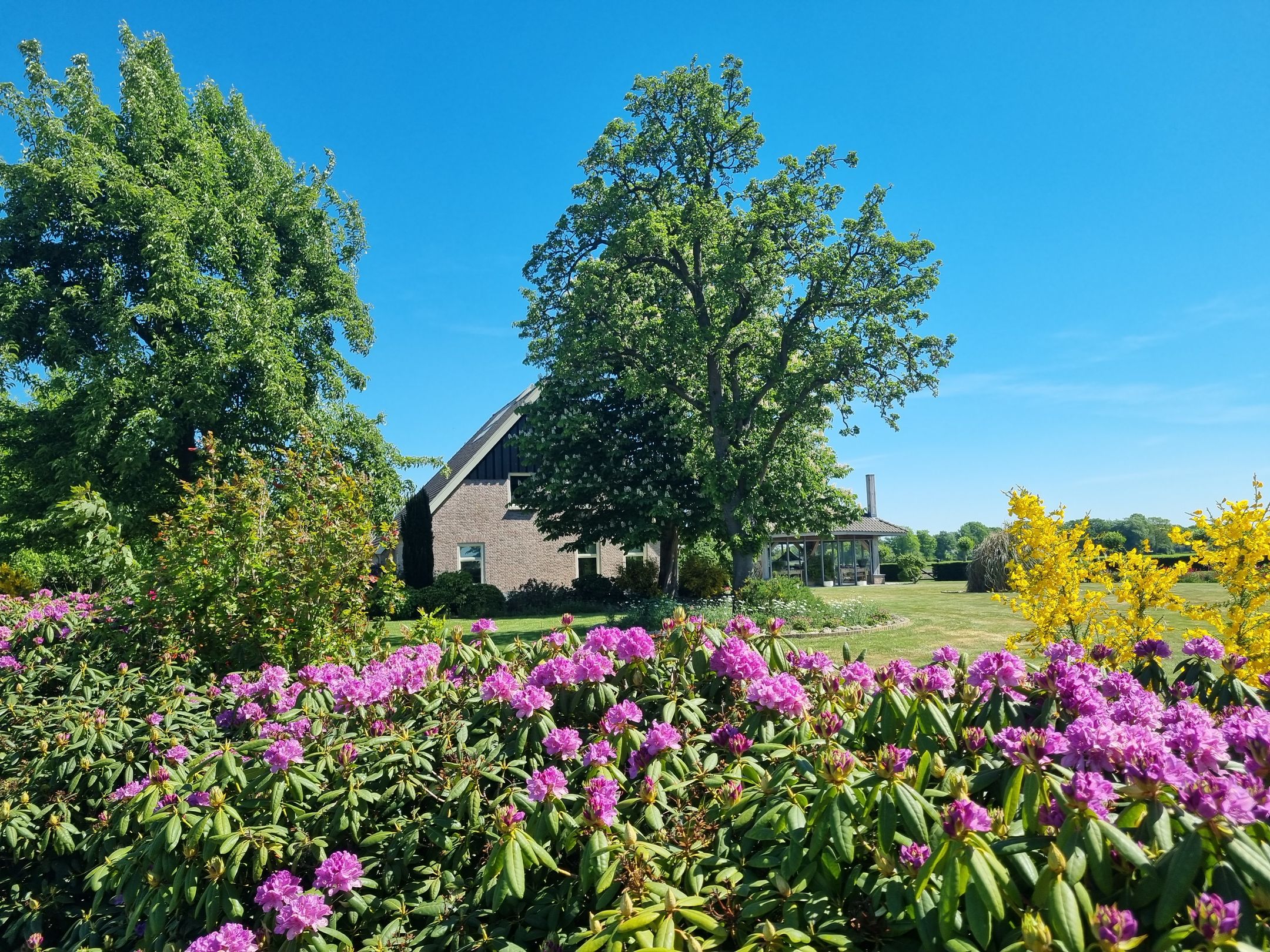 Foto 63 van Nieuwe Dijk 13