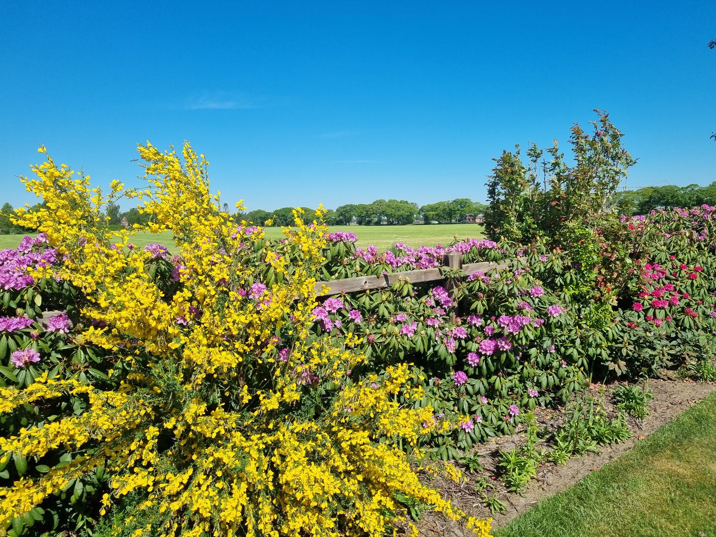 Foto 70 van Nieuwe Dijk 13