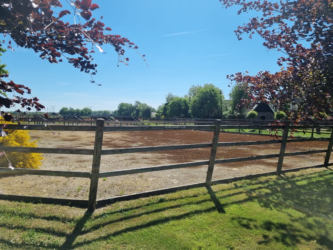 Foto 71 van Nieuwe Dijk 13