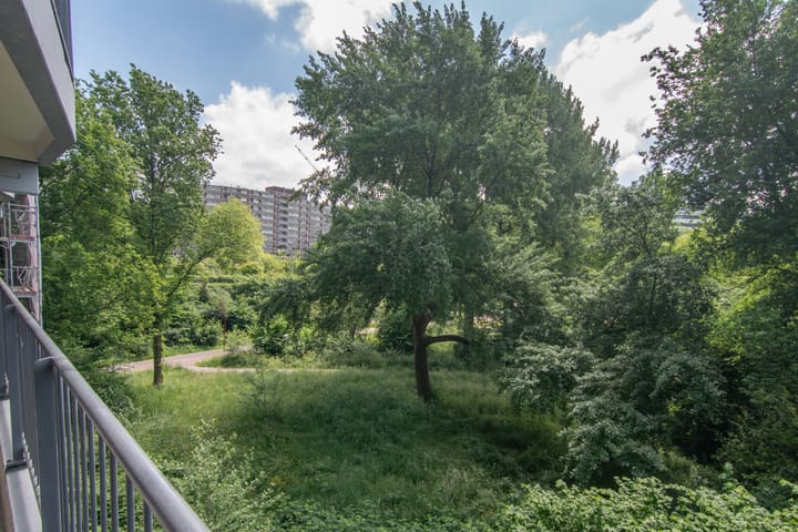 Foto 19 van Zalkerbos 191