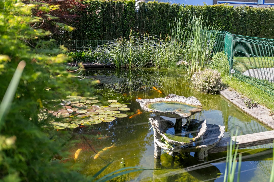 Foto 32 van Gerard Doustraat 2