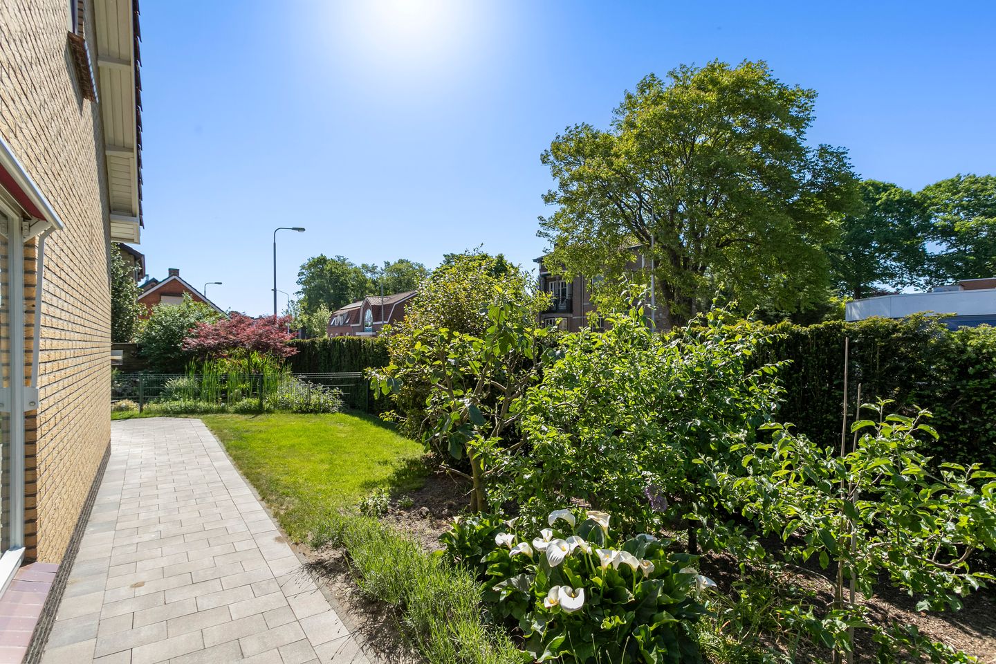 Foto 34 van Gerard Doustraat 2