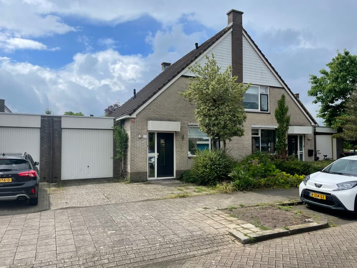 undefined main image