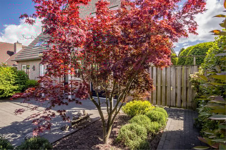 Foto 50 van Rentmeesterhof 19