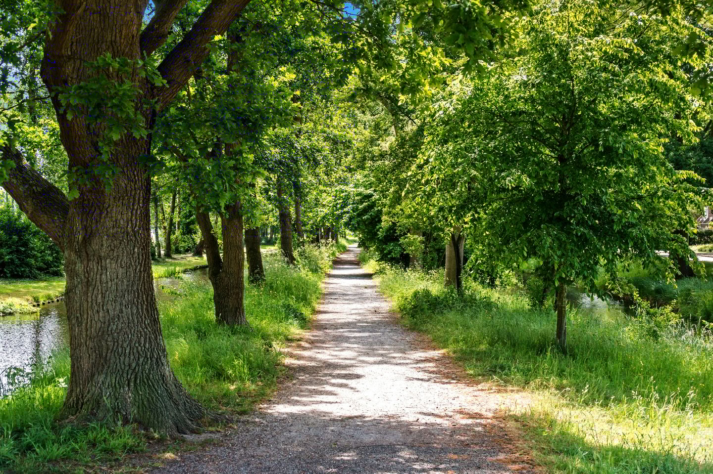 Foto 40 van Teylingen 2