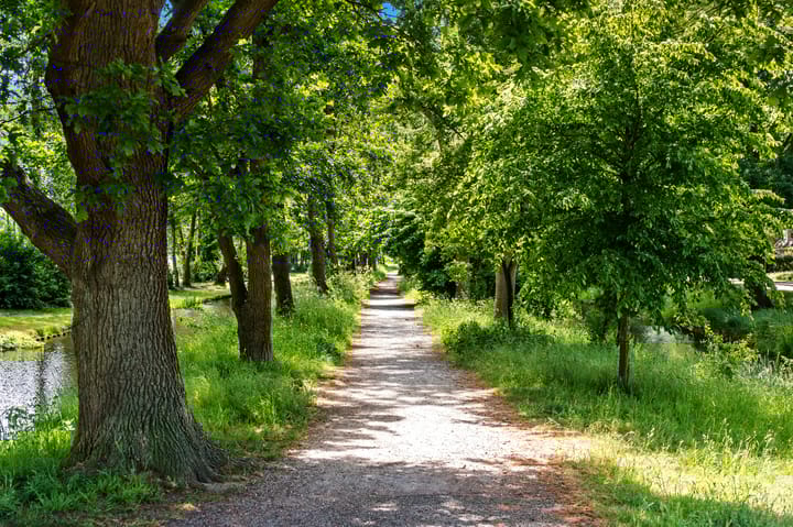 Foto 40 van Teylingen 2