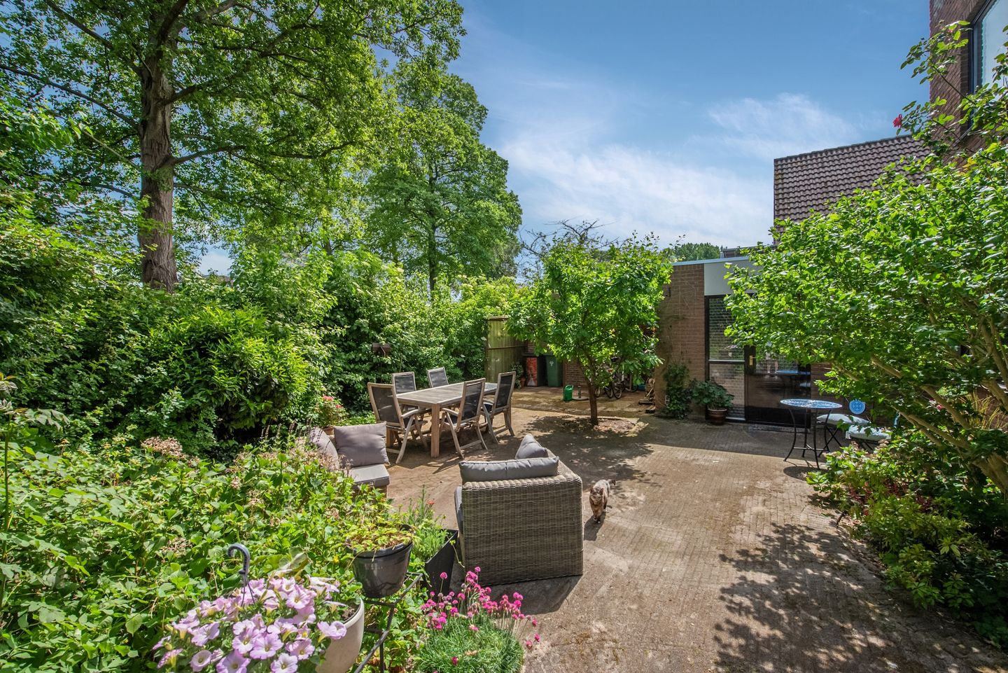 Foto 14 van Datheenhove 46