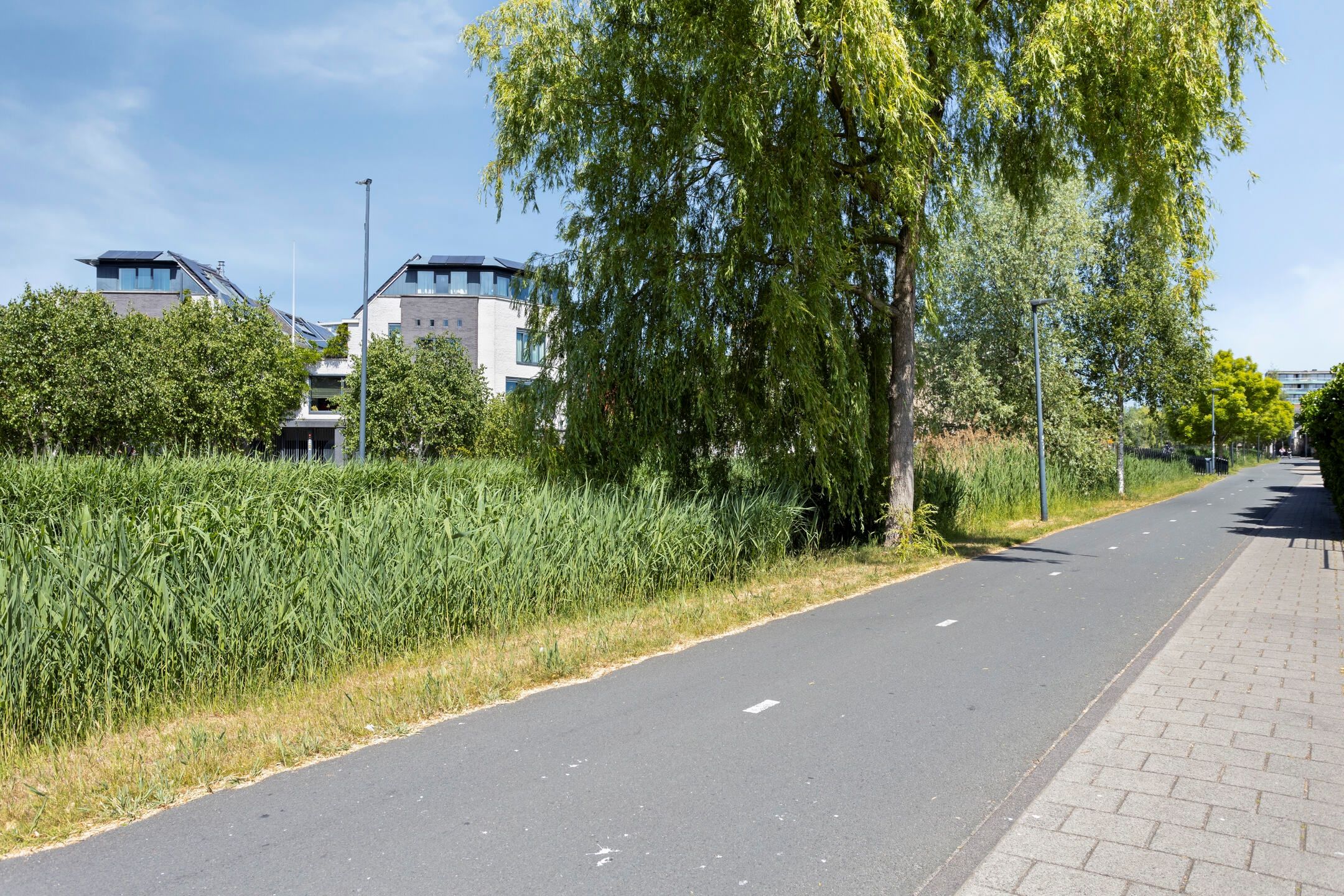 Foto 12 van Prins Frederikstraat 38