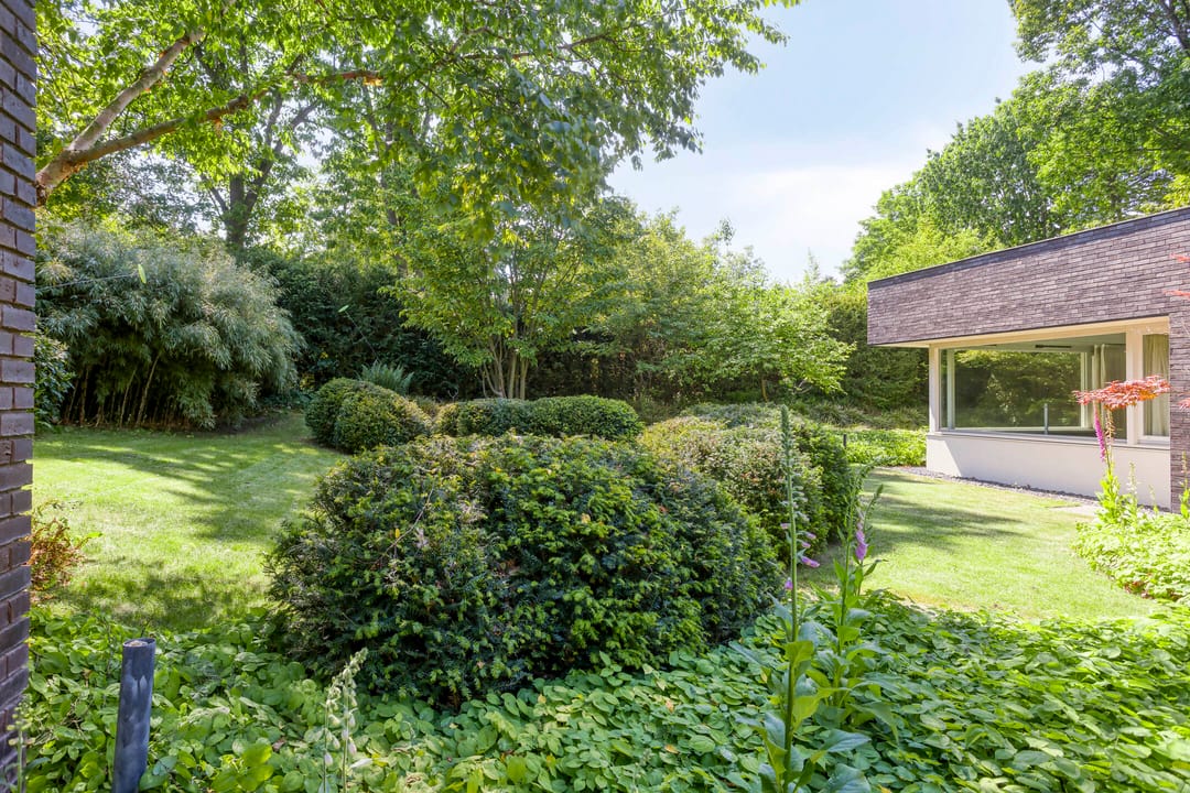 Foto 46 van Eikendreef 13