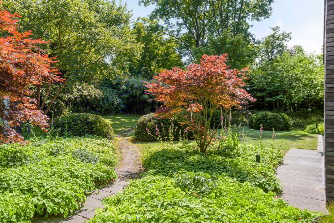 Foto 52 van Eikendreef 13