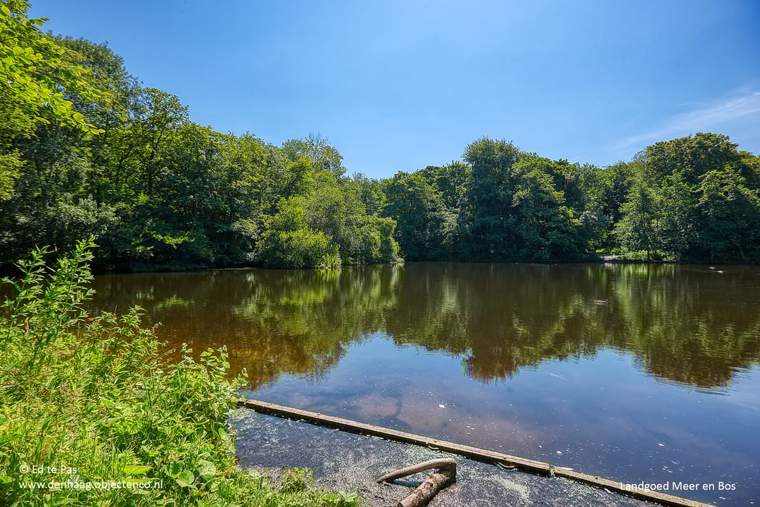 Foto 46 van Zandzeggelaan 195