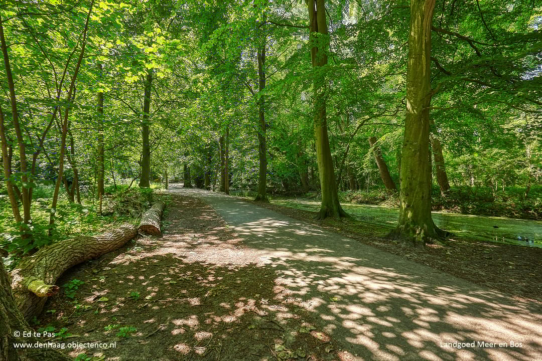 Foto 47 van Zandzeggelaan 195