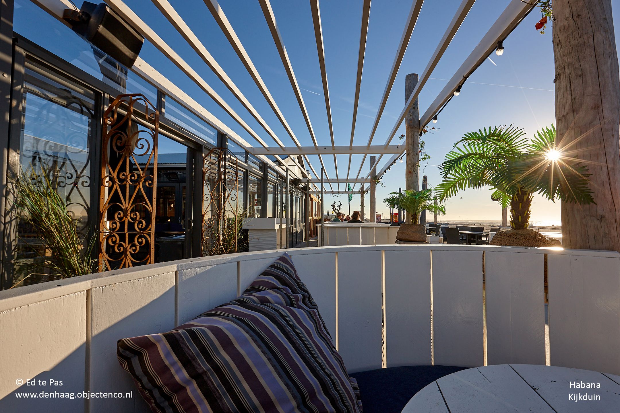 Foto 48 van Zandzeggelaan 195