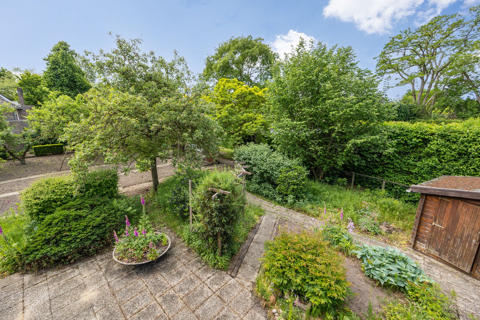 Foto 42 van Boerhaavestraat 6