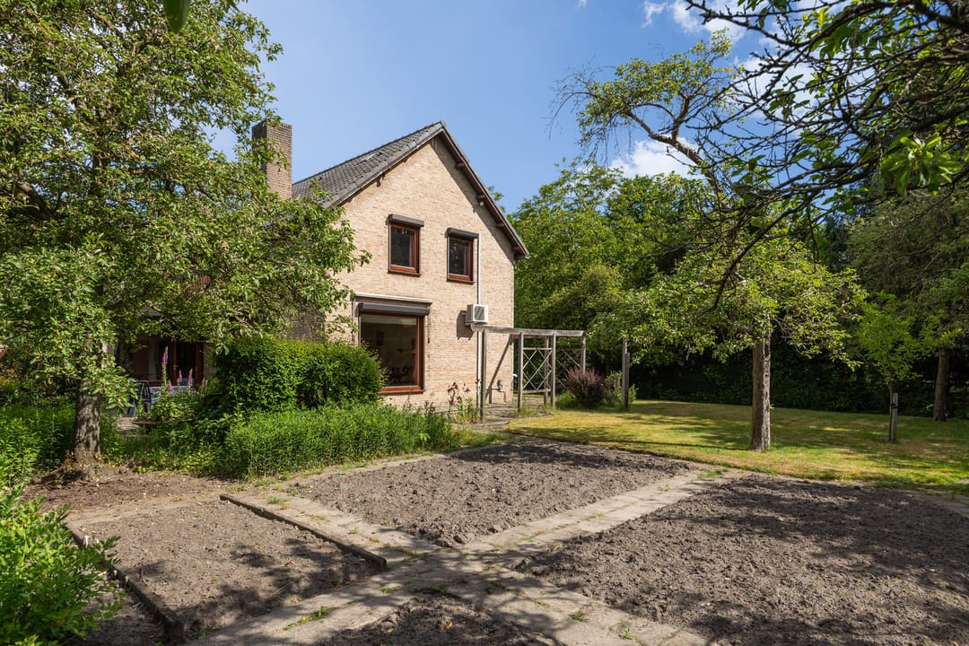 Foto 56 van Boerhaavestraat 6