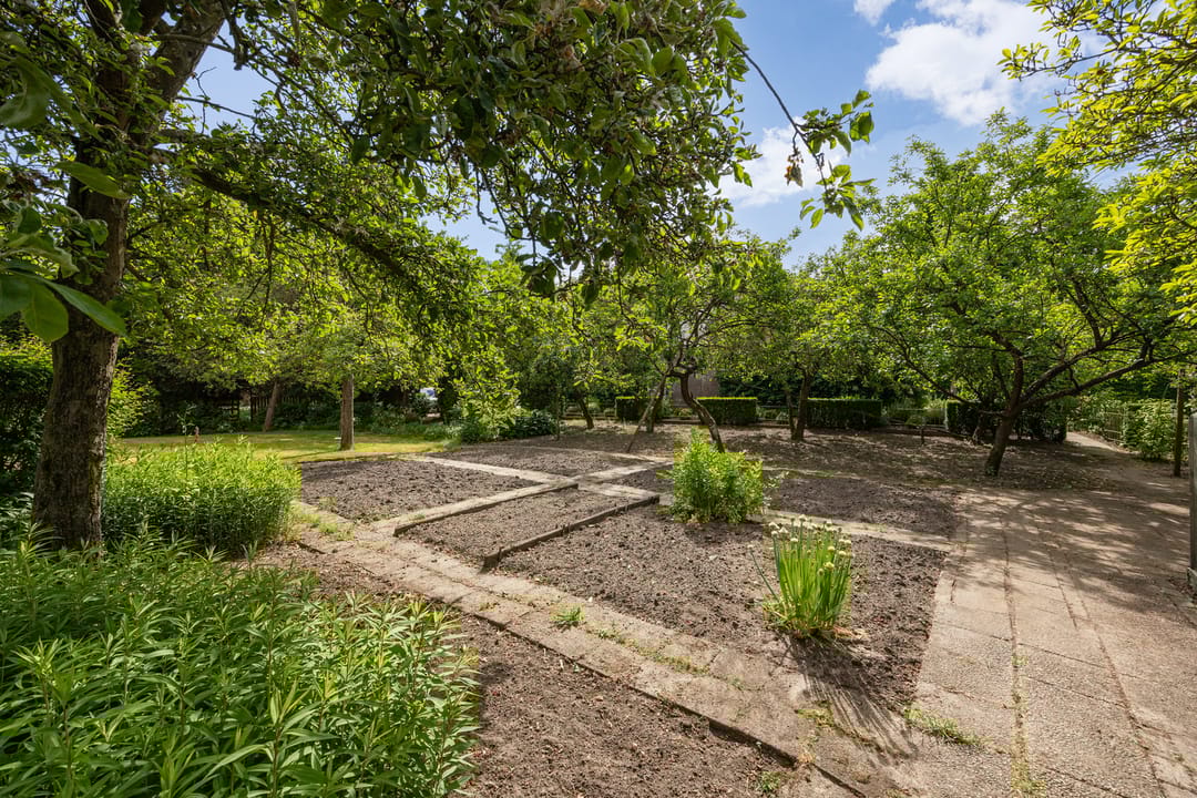 Foto 61 van Boerhaavestraat 6