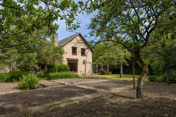 Foto 63 van Boerhaavestraat 6