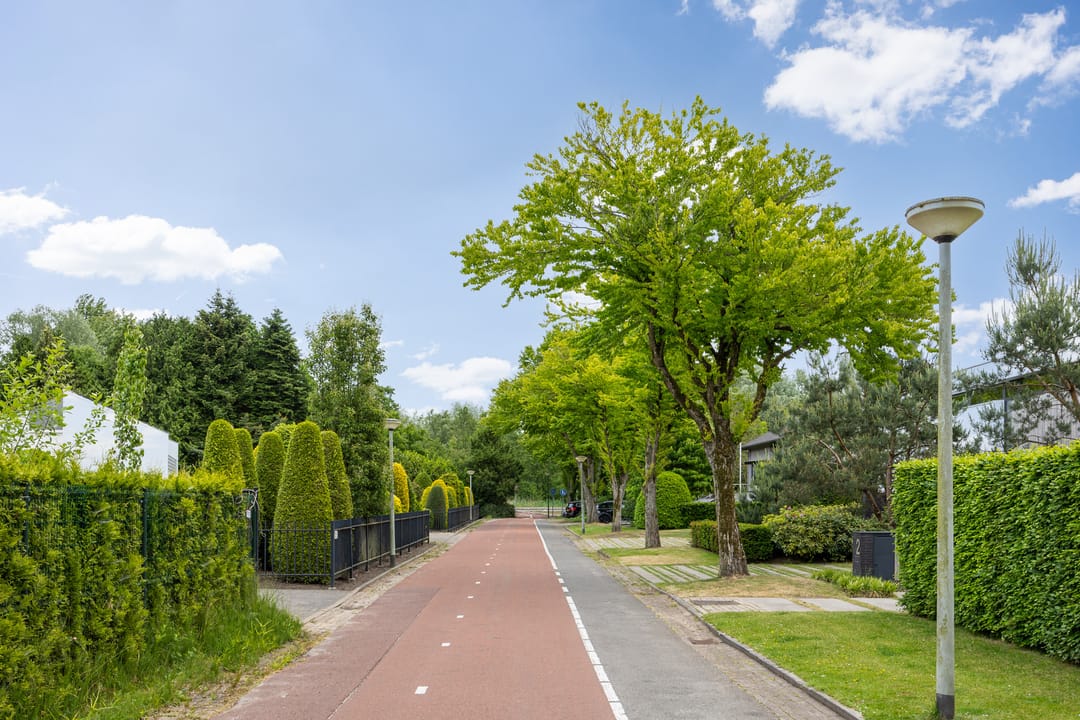 Foto 71 van Boerhaavestraat 6