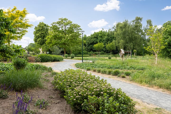 Foto 73 van Boerhaavestraat 6