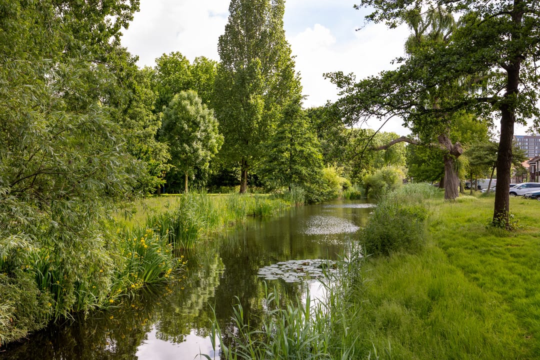 Foto 26 van Tesselschadestraat 5