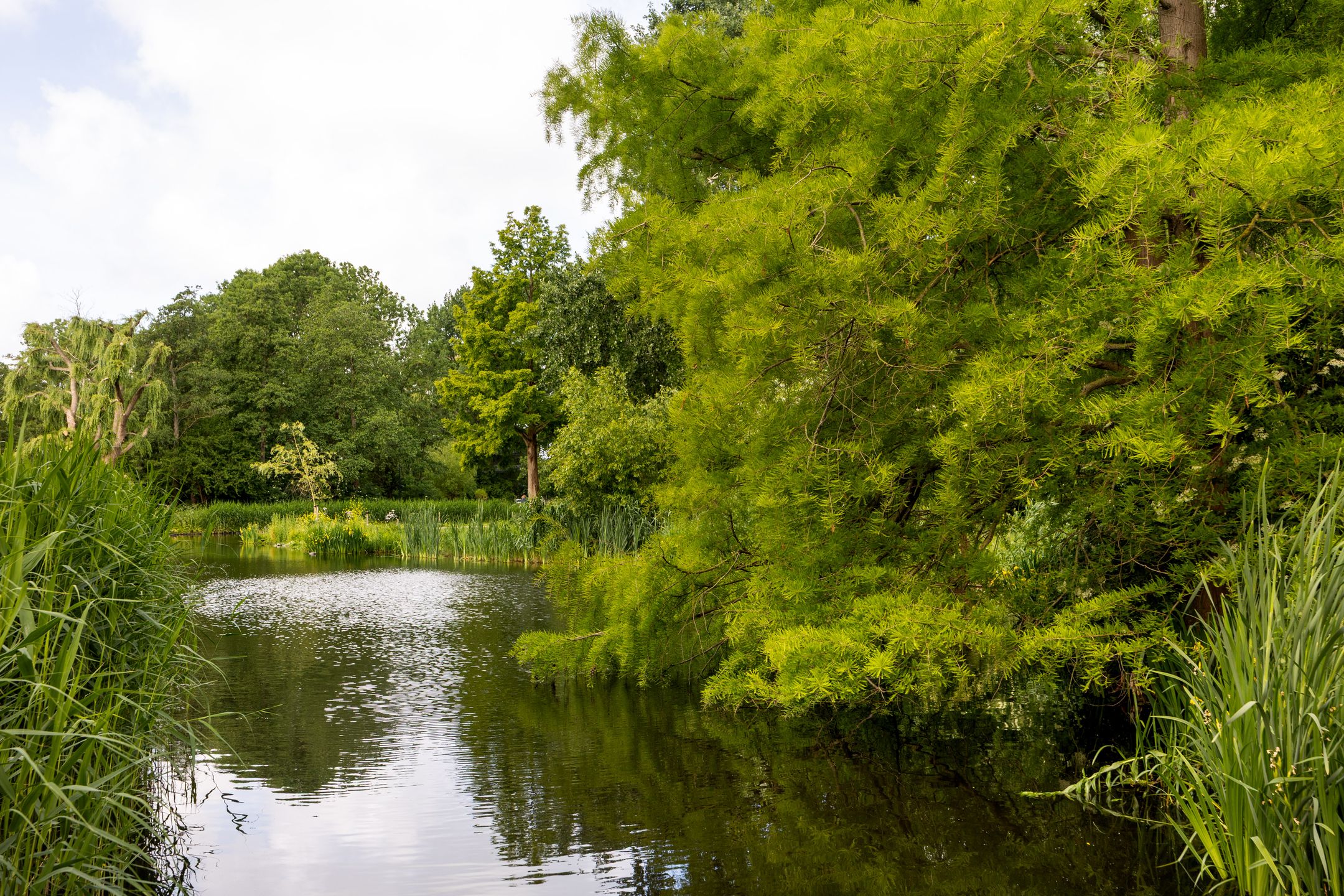 Foto 27 van Tesselschadestraat 5