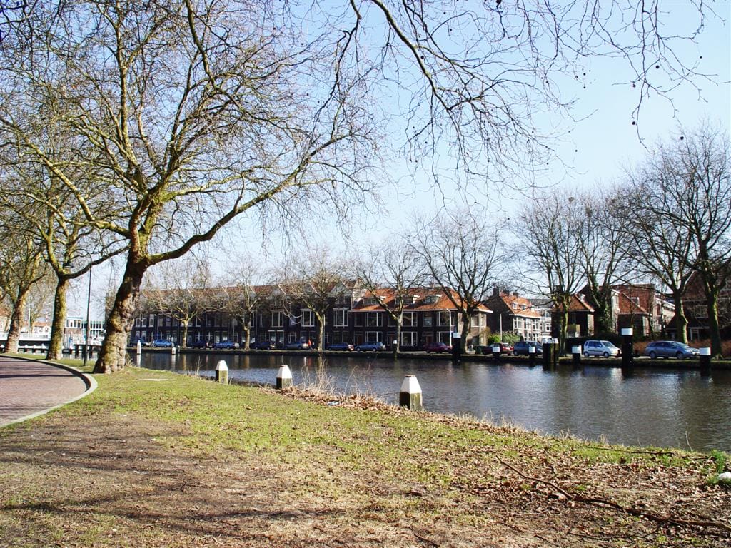 Foto 34 van Nieuwelaan 136