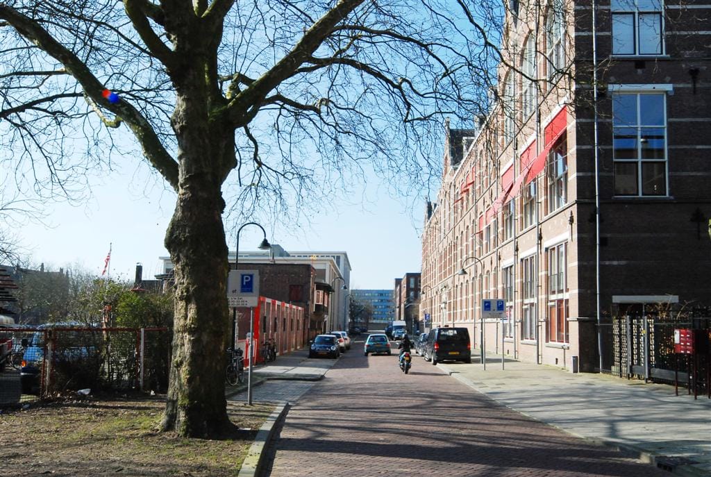 Foto 35 van Nieuwelaan 136