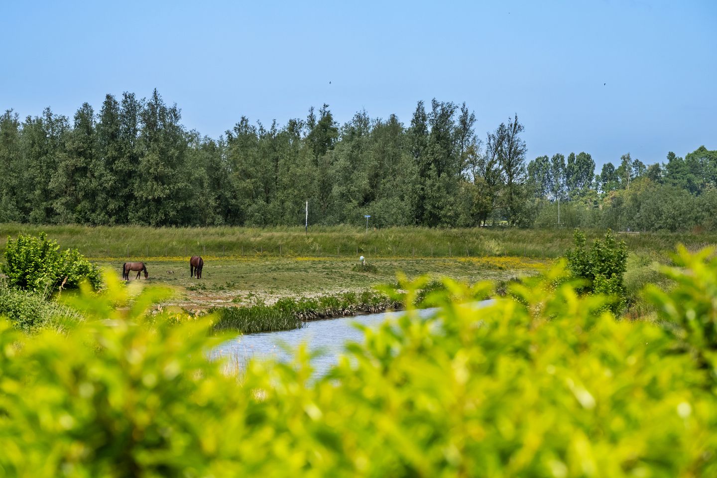 Foto 50 van Dorpsstraat 82