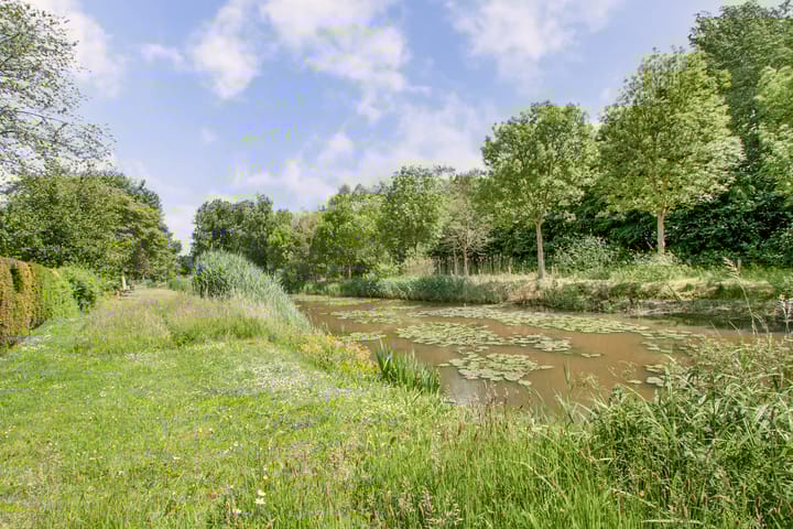 Foto 41 van 't Seuverick 31