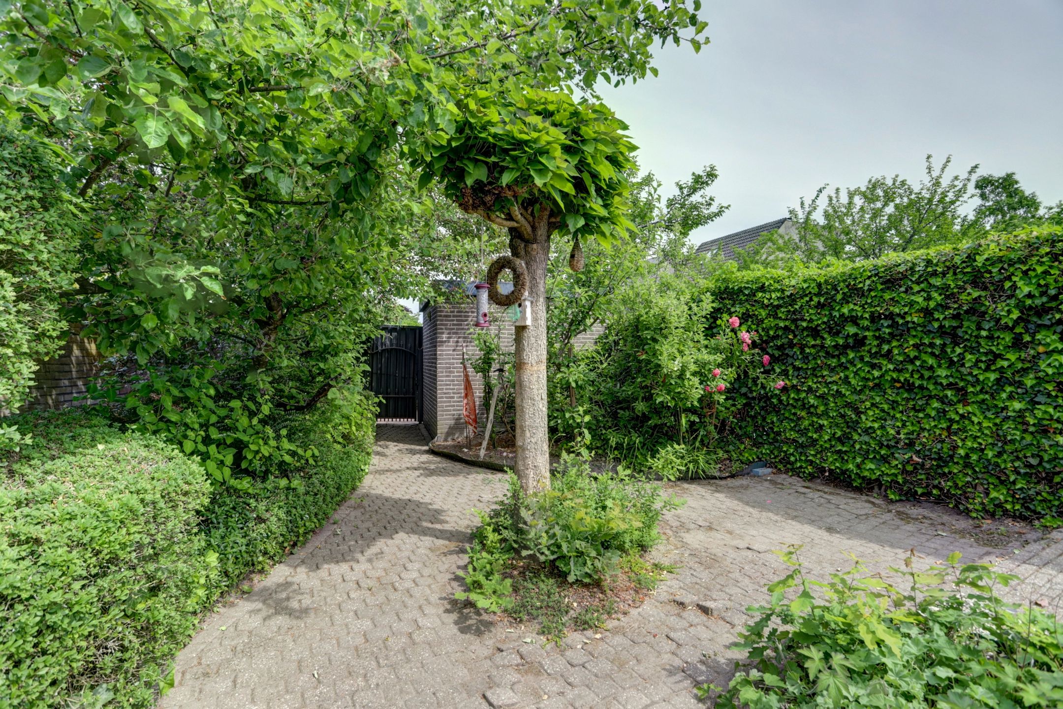 Foto 33 van Hordenloop 5