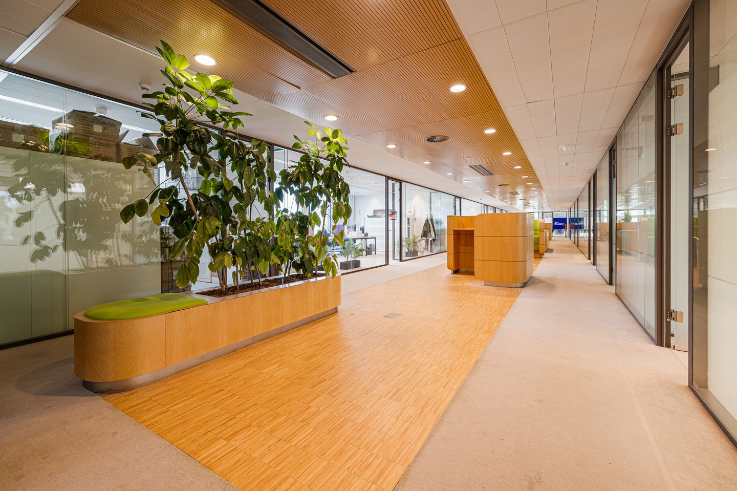 Bekijk foto 4 van Tobias Asserlaan 3