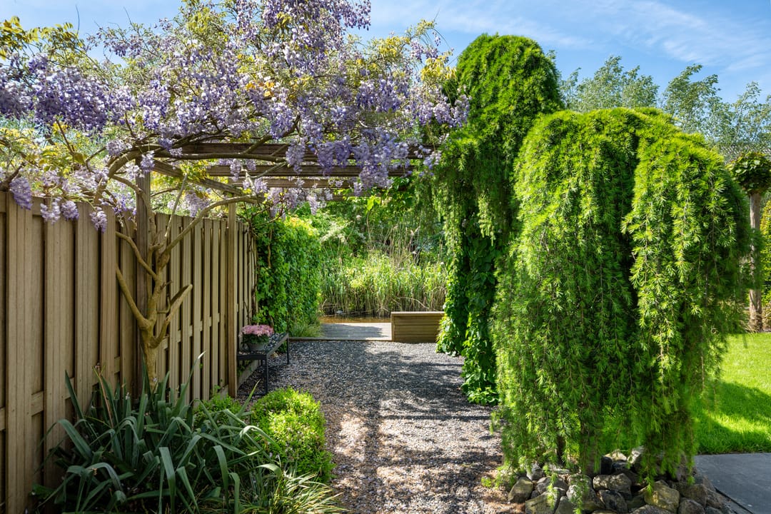 Foto 43 van Burgemeester Van de Lindelaan 6