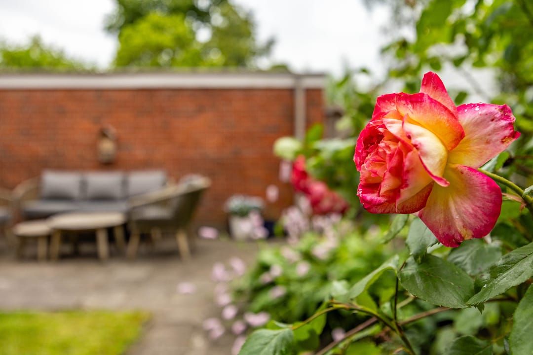 Foto 31 van Diephuisstraat 23