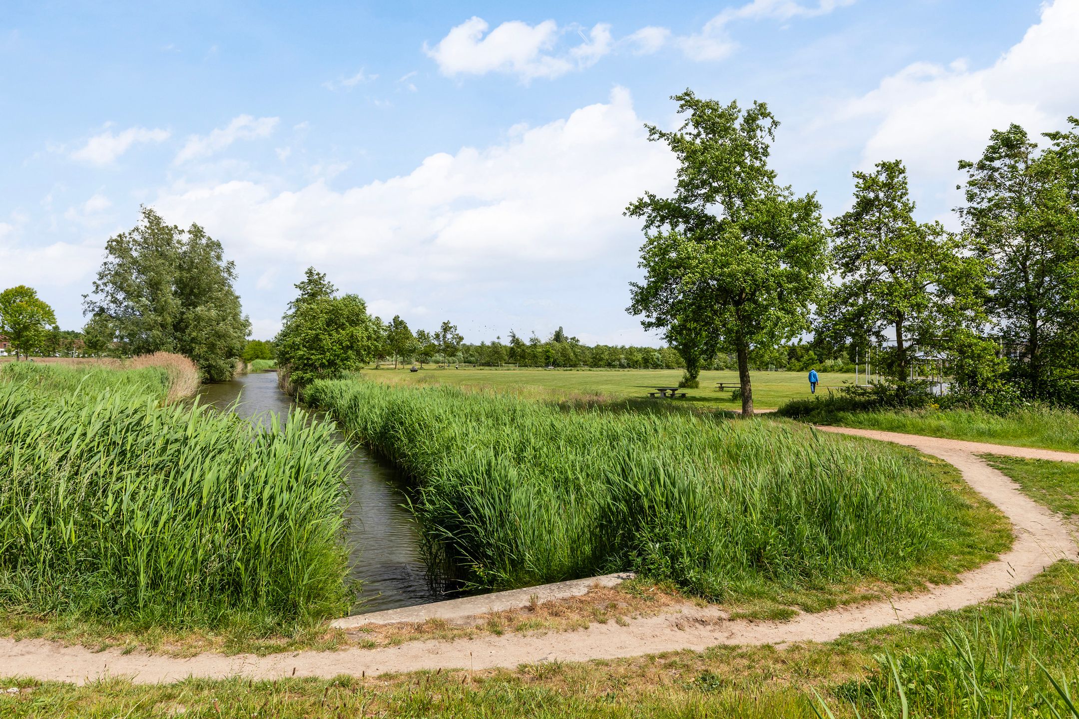 Foto 42 van Concertstraat 21