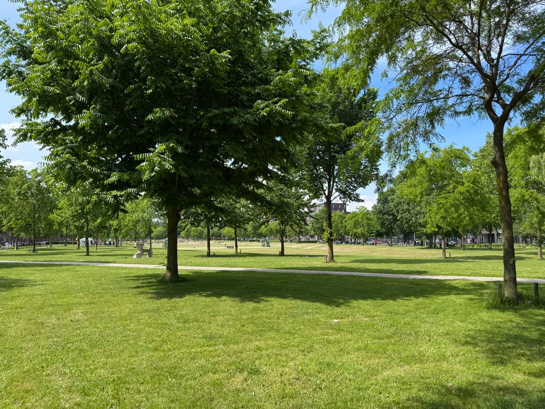 Foto 52 van Jan Vrijmanstraat 216