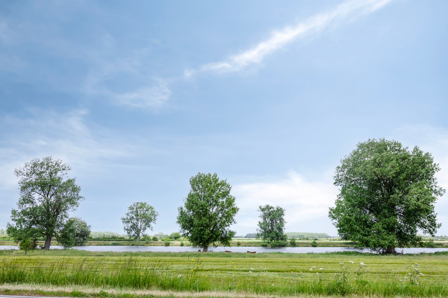 Photo 34 of Dokter Kanterslaan 270