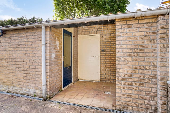 Foto 25 van Havik 55